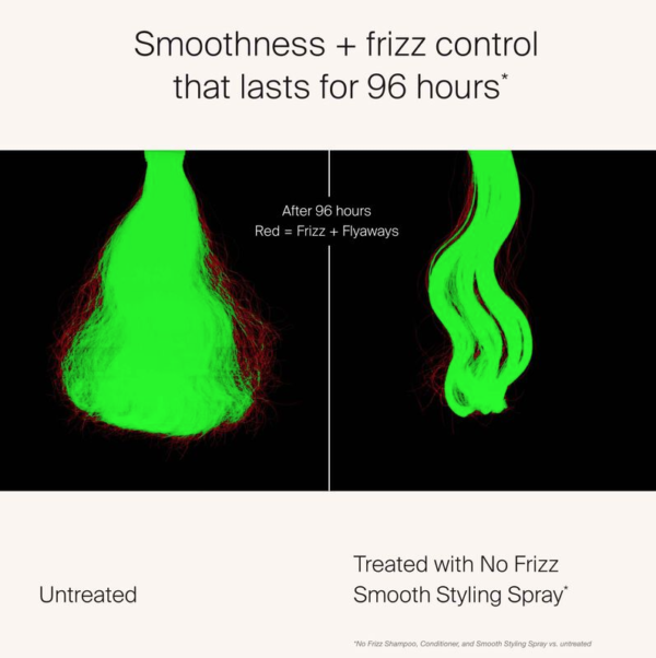 Anti-Frizz Smooth Styling Spray - Image 2