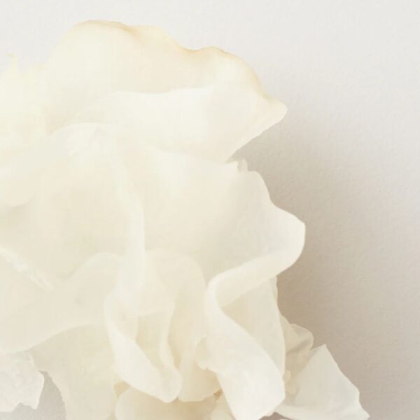 Nourish Snow Mushroom Moisture Mask - Image 2