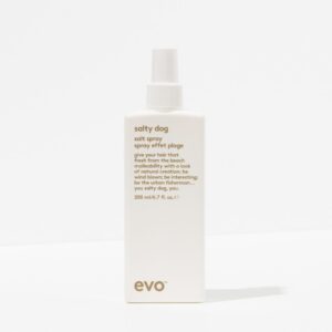 salty dog salt spray | 200ml
